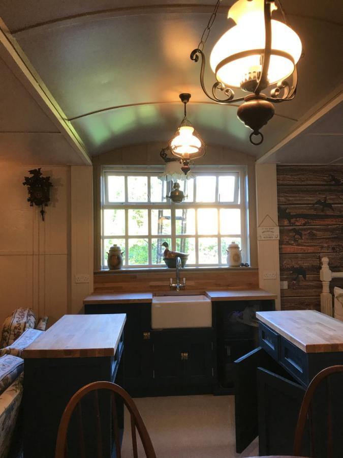 Log Cabin 阿马 外观 照片